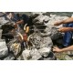 Victorinox 4.2460 Barbekü Çatalı Kamp Doğa Gezilerinde